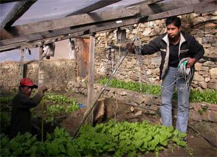 GreenhouseMeasuremnet2